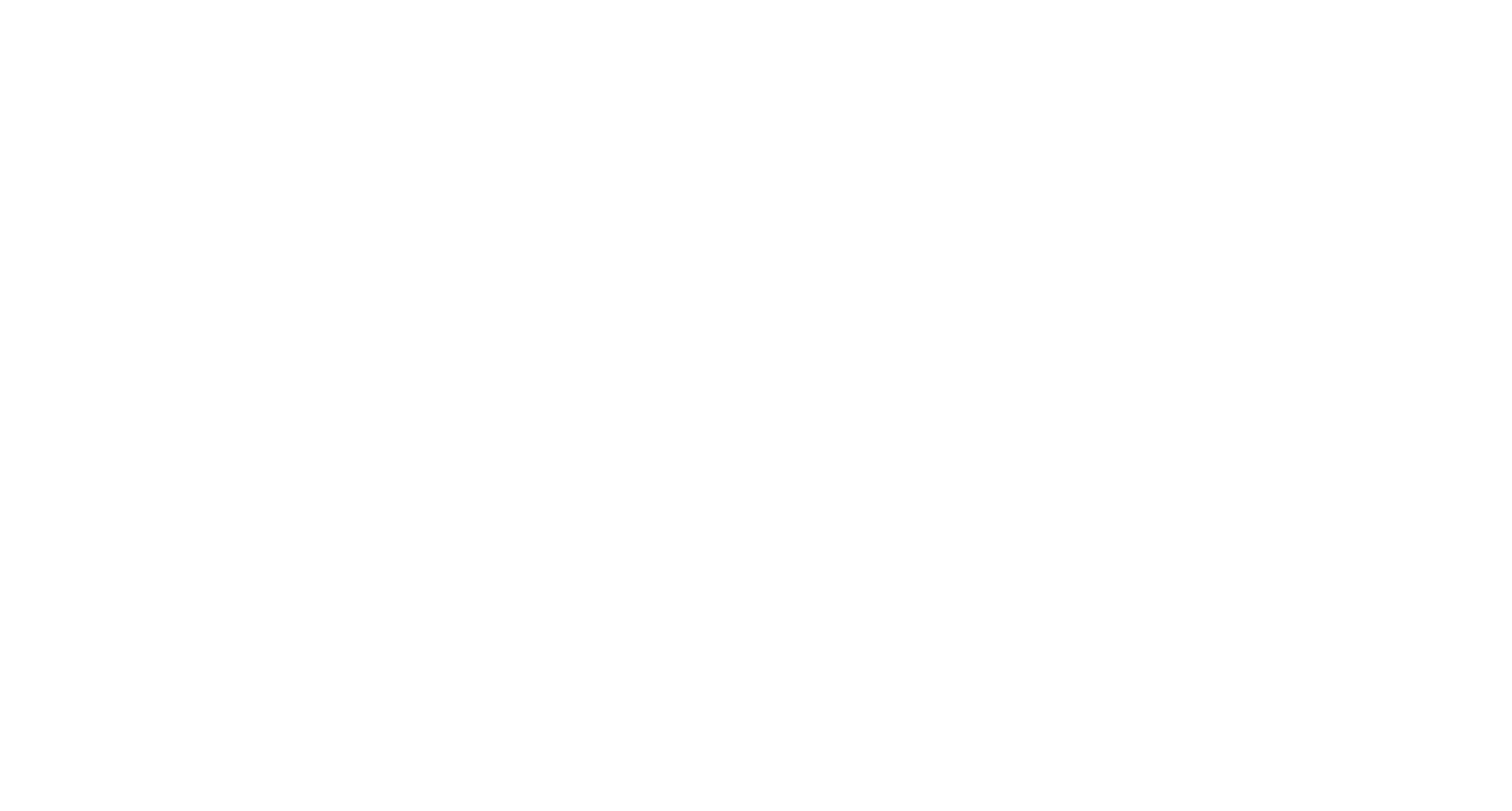 Vessa